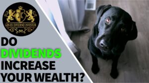 Do Dividends Increase Your Wealth?