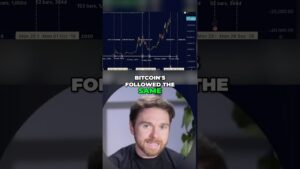 Bitcoin’s Price Prediction Came True