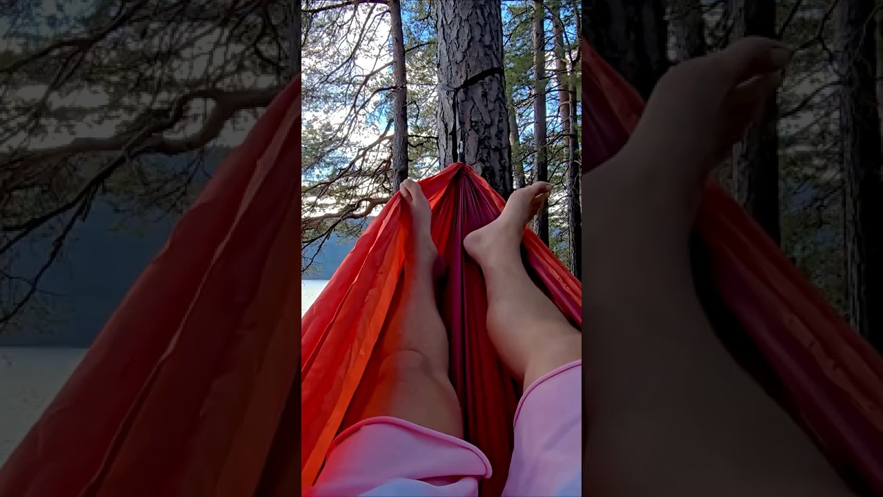 How I Create Income in Any Market